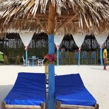 Salama Beach Jacaranda